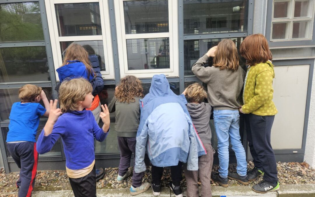 Umbau: Die Bauarbeiten für die Stadteilschule laufen! 🤩🏗️