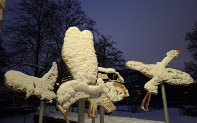 FLeKS-Vögel im Schnee!